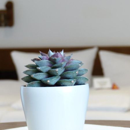 Hotel Rosenbusch Großheubach Δωμάτιο φωτογραφία